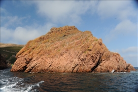 Ilha Berlenga